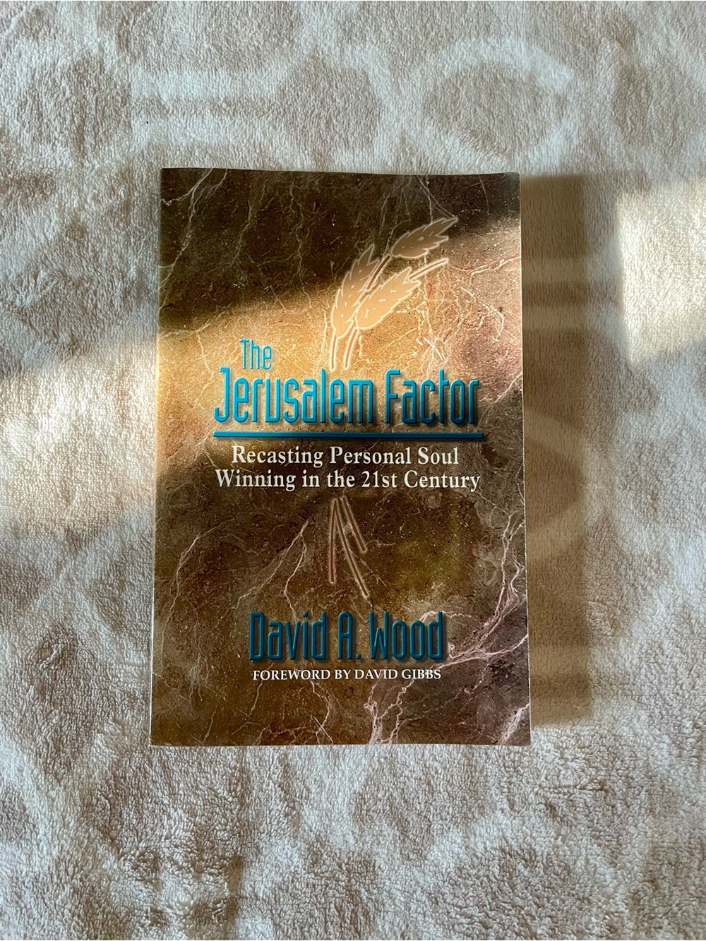 The Jerusalem Factor by David A. Wood - Brown Cover